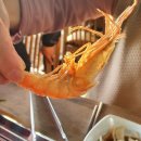 사계절장어;굴구이