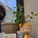 첨단부동산중개 이미지