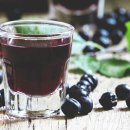 아로니아 이미지