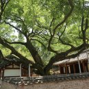 구천서당 이미지