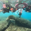 캐슬론 | 🇹🇼。十 : 설 연휴 보내기