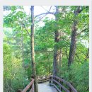 정은목장 이미지