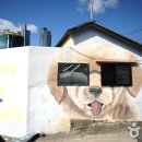 하얀강아지&고양이 이미지