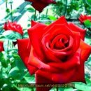 송*근 - 미추홀구 인하로222번길 20 | 송*근