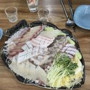 [내돈내산] 가락시장 방어 맛집, 용기수산 ♥ 인어교주해적단 할인쿠폰 사용 후기