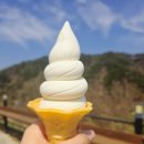 모락소프트 | 스릴넘치는 2.4km의 폭풍질주! 국내 단일코스 최장 횡성루지 체험장 후기