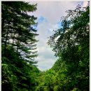 휴양림길 이미지