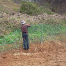 안심2농로 이미지