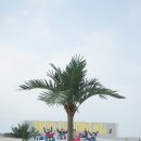 강남사우나 이미지