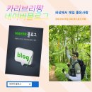 도도샵 | 진주시 평거동 마사지샵 추천｜22년 경력 1인샵 “도도샵” 직접 다녀온 후기!