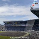 NPB 정규시즌 관중수 이미지