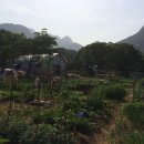 룸비니농장 이미지