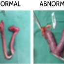 24시 동탄윌 동물의료센터 이미지