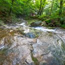 태안사계곡 이미지