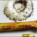 커피와이유 이미지