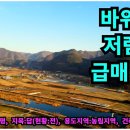 완주공인중개사사무소 이미지