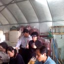 윤식농장 이미지