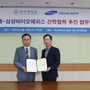 삼성인력개발 이미지