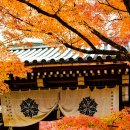 오치사 | 교토 문화 박물관 - 역사 속 유산을 만나다