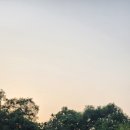 바스티
