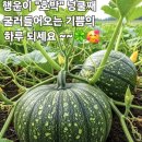 장어국- 이미지