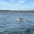 용하약국 이미지