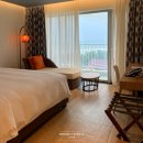 (주)골든비치 골든비치카지노 | 24년12월 다낭② 호이안 오토바이 드라이브, 호이아나 카지노, 미선투어, 안방비치 조개죽 맛집