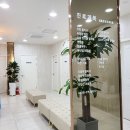 서울갑유외과의원 이미지