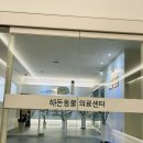 밀양대동물진료센터 | 강아지 뒷다리 절뚝거림｜의정부 24시 해든동물의료센터 민락점 야간진료 후기