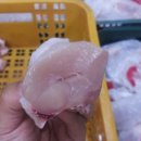 싱싱닭고기