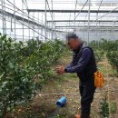 개운좋은농장 이미지