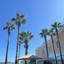 회원동167 | 거제 오션어드벤처 워터파크 작지만 알차게 놀았어요 할인 꿀팁!