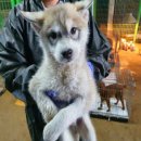 서부대성로 이미지