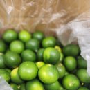 향기담기 | 청귤청 담기 착즙청 카페 레시피로 해본 후기