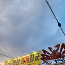 광성 홍게장군 홍게 5마리 포장후기 속초홍게포장 속초 맛집