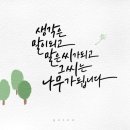 캘리그라피 이미지