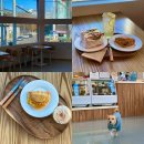 퍼피펍피 이미지