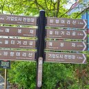 원주굽이길 19코스 기업도시둘레길 이미지