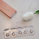 안경사랑신정점.위드렌즈 이미지