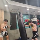 슬러거MMA 이미지