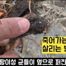 팔마미생물(주) 이미지