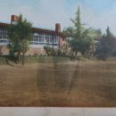 안계초등학교 병설유치원 이미지