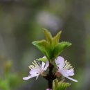 나무부동산공인중개사사무소 이미지