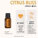 팀블리스