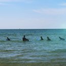 색달동-24 이미지