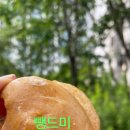 뺑드미 이미지