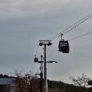 신신농장 | 카, 무료 동물원, 놀이기구 | 포항 근교 아기와 가볼만한 곳(꿀팁, 놀이기구 가격) | 신신짬뽕 후기까지