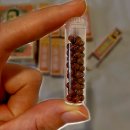 성전당약국 | 해외여행시 꼭 가져가야할 상비약 top.3 기내 반입 여부 상비약 tip