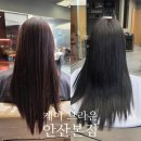 진헤어�� | 안산 고잔동 헤어샵 톤다운으로 머릿결도 좋아진 후기 브라운 헤어