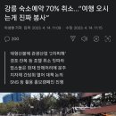 강릉 숙소예약 70% 취소... "여행 오시는 게 진짜 봉사" 이미지